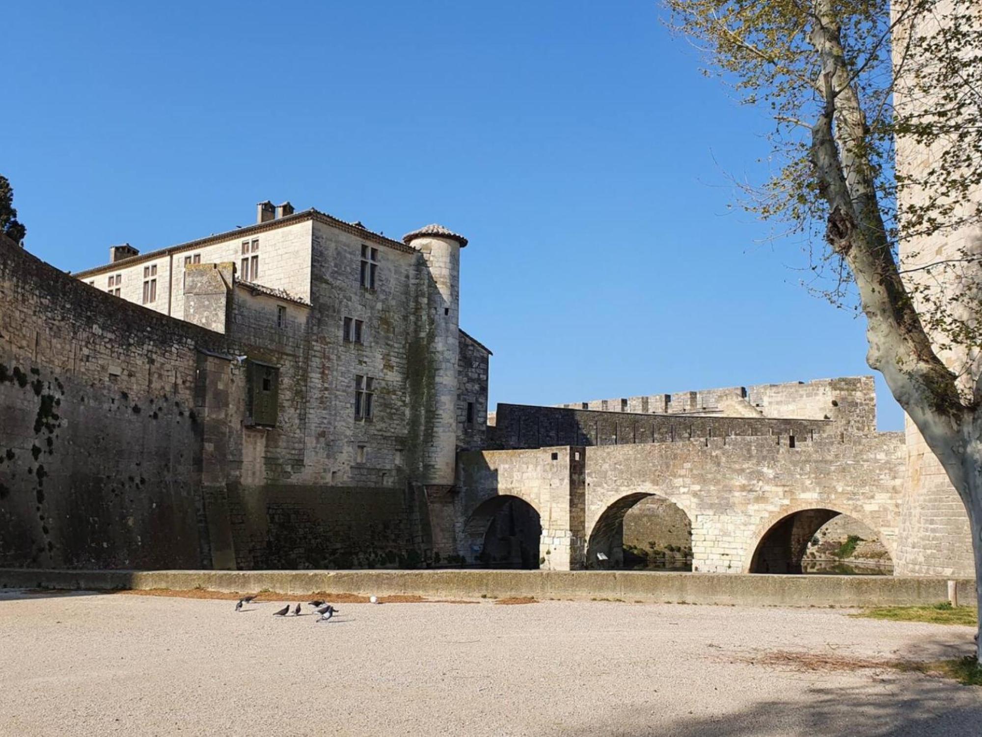 Maison Cosy, 2 Chambres, Adossee Aux Remparts Aigues-Mortes Luaran gambar